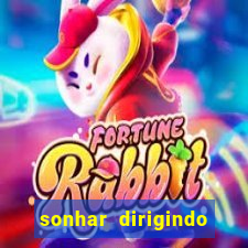 sonhar dirigindo carro jogo do bicho